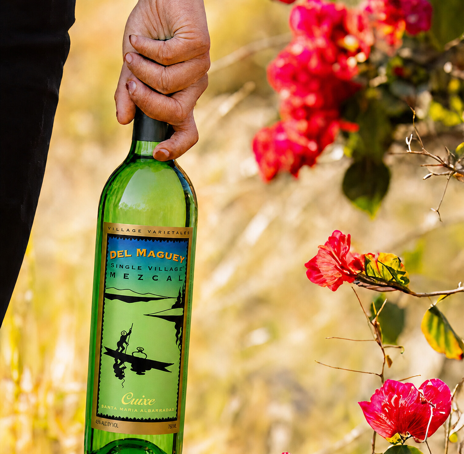 A Del Maguey Cuixe bottle held beside flowering bougainvillea in Oaxaca