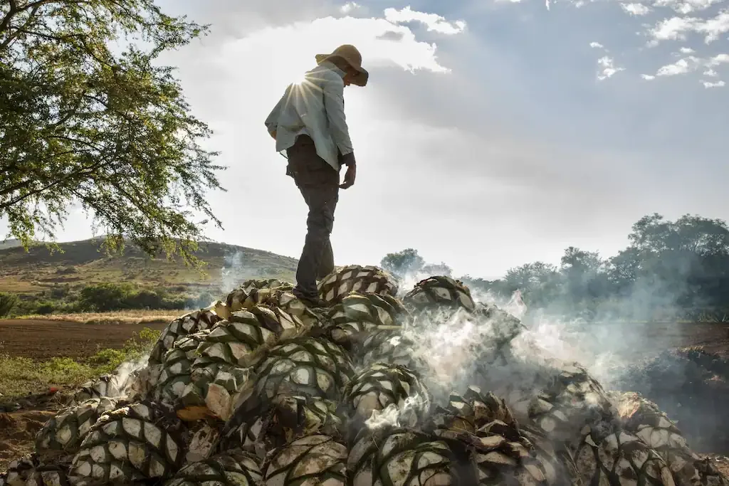 One village, one family, one mezcal at a time.