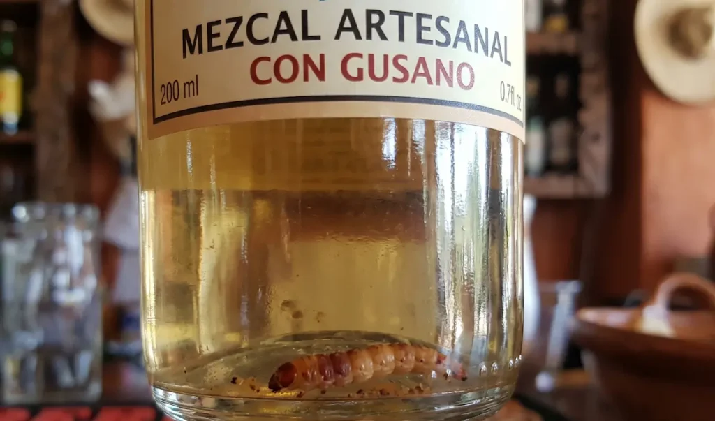 Maguey worm (gusano rojo) at the bottom of a clear bottle of mezcal