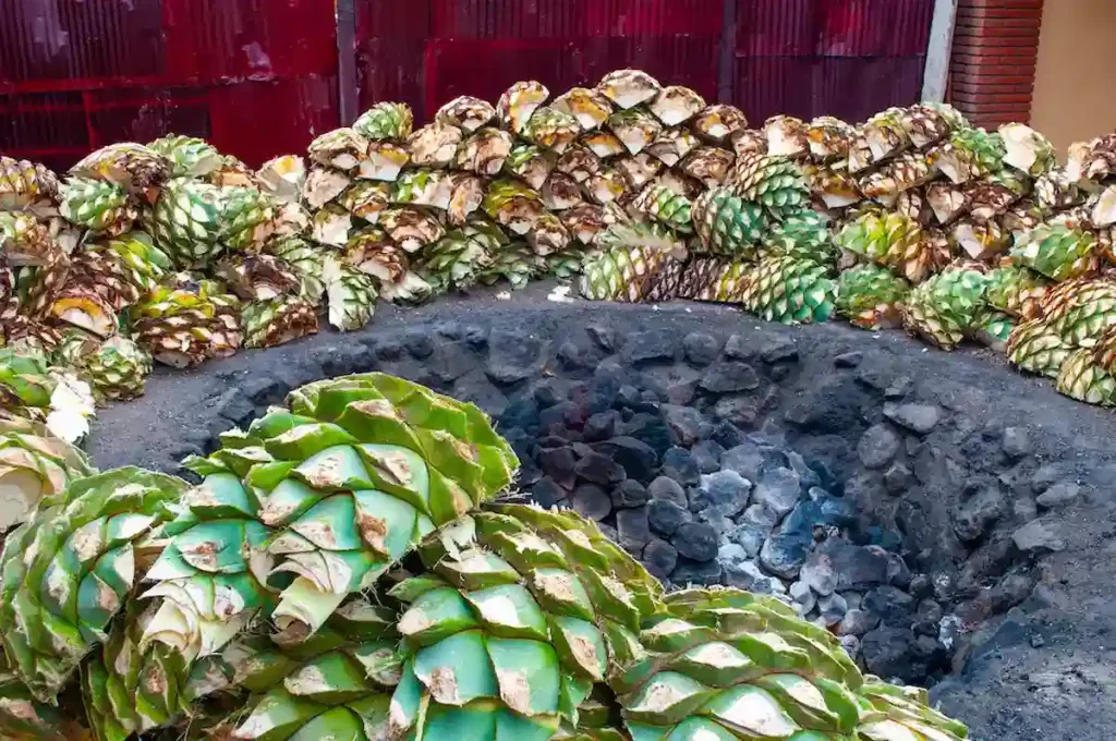 ¿Por qué el mezcal sabe ahumado?