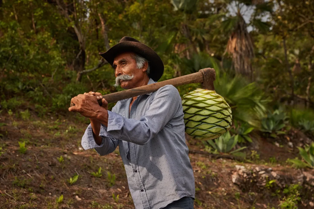 Fernando Caballero Cruz (“El Bigote”)