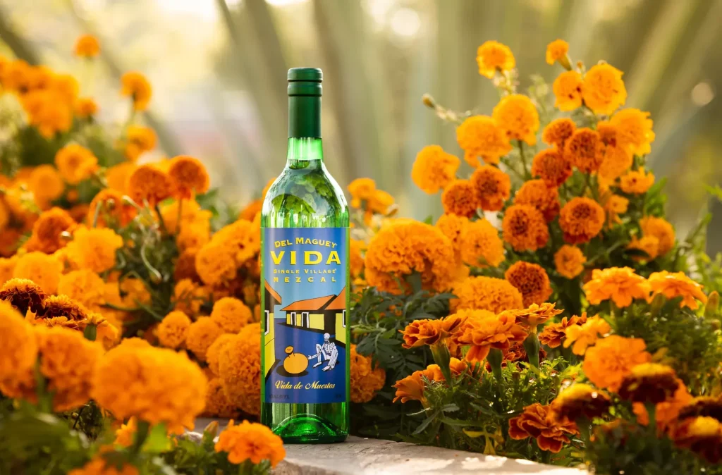 Diferentes tipos de Mezcal: la guía completa