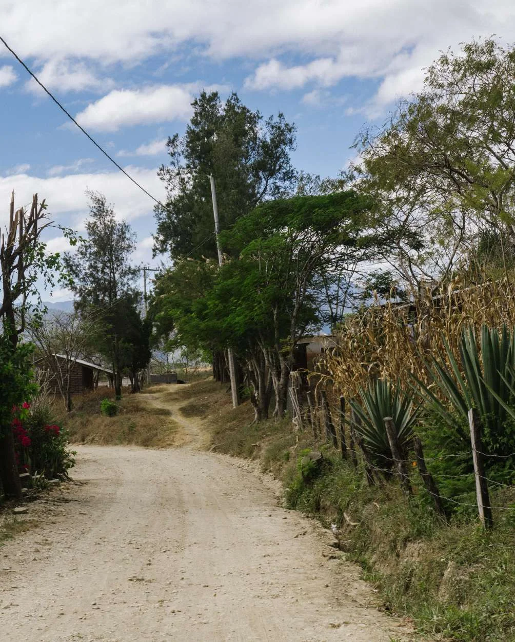 San Jose Rio Minas