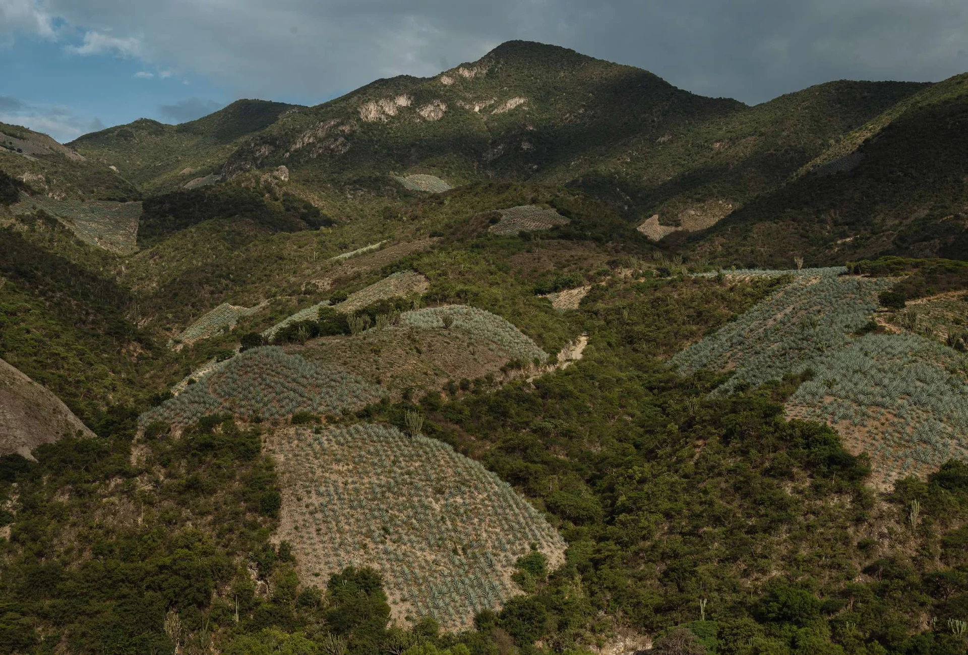 San Luis Del Rio